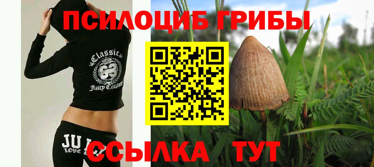 Галлюциногенные грибы мухоморы Волжский